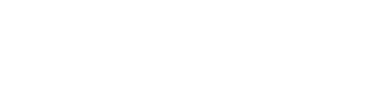 Deloitte Asia Pacific 500